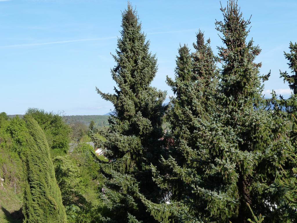 Helle 70 Qm Ferienwohnung Mit Herrlichem Blick Teningen Bagian luar foto